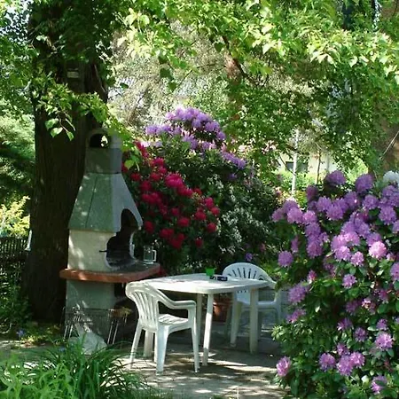 In Chemnitz, Ebersdorfer Wald *